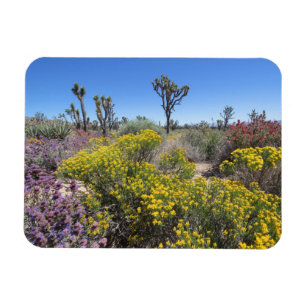 Joshua Tree Nationalpark in Bloom Magnet
