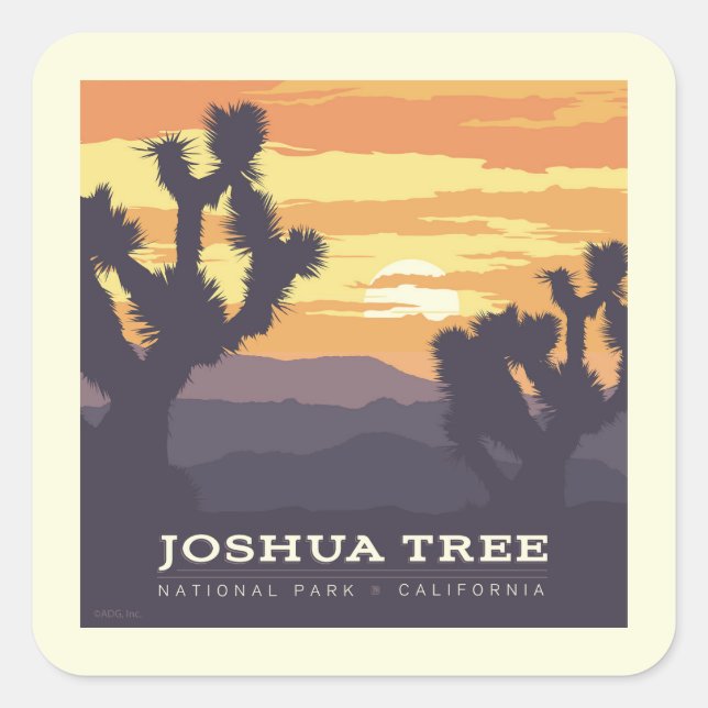 Joshua Tree Nationalpark | Kalifornien Quadratischer Aufkleber (Vorderseite)