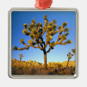 Joshua-Tree-Nationalpark, Kalifornien. USA. Ornament Aus Metall