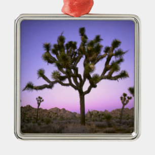 JOSHUA TREE NATIONALPARK, KALIFORNIEN. USA. ORNAMENT AUS METALL