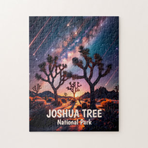 Joshua Tree Nationalpark Meteor-Schauer Milchstraß