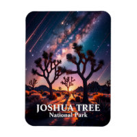 Joshua Tree Nationalpark Nachthimmel Milchstraße