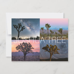 Joshua Tree Nationalpark Postcard Postkarte