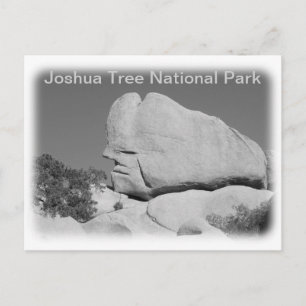 Joshua Tree Nationalpark Postcard! Postkarte