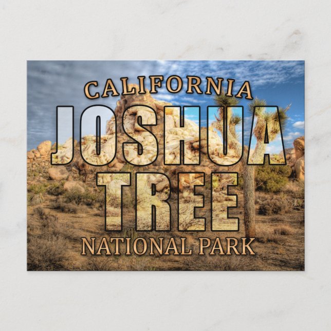 Joshua Tree Nationalpark Postcard Postkarte (Vorderseite)