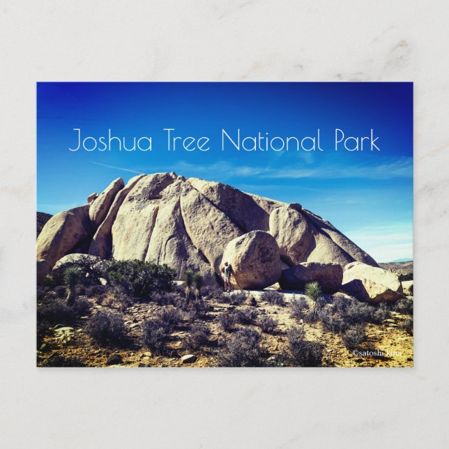 Joshua Tree Nationalpark Postkarte (Vorderseite)
