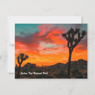 Joshua Tree Nationalpark Postkarte