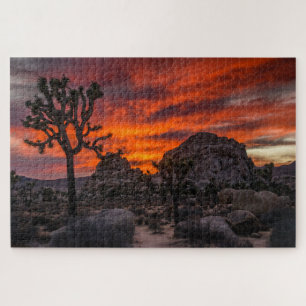 Joshua Tree Nationalpark Red Sunset