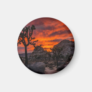 Joshua Tree Nationalpark Red Sunset Magnet