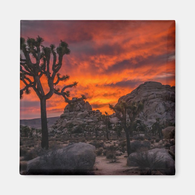 Joshua Tree Nationalpark Red Sunset Magnet (Vorne)