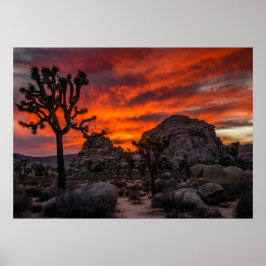 Joshua Tree Nationalpark Red Sunset Poster