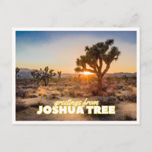 Joshua Tree Nationalpark Sonnenuntergang Retro Rei Postkarte