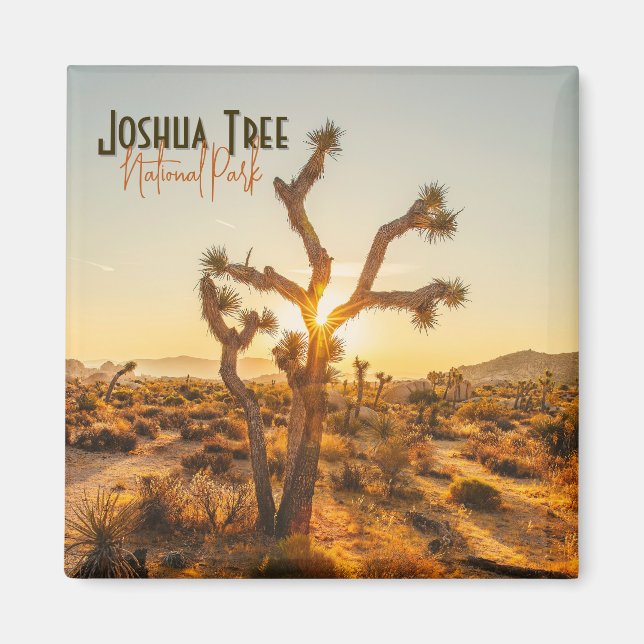 Joshua Tree Nationalpark Souvenir Geschenk Magnet (Vorne)