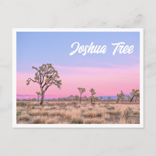 Joshua Tree Nationalpark Sunset Foto Postcard Postkarte (Vorderseite)