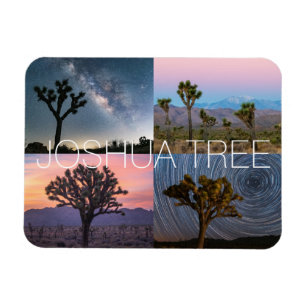 Joshua Tree Nationalpark Sunset Night Landschaft Magnet