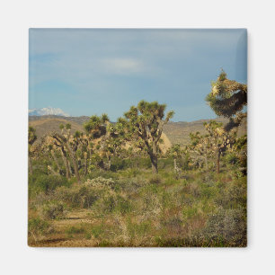 Joshua Tree Nationalpark Wüstenlandschaft Magnet