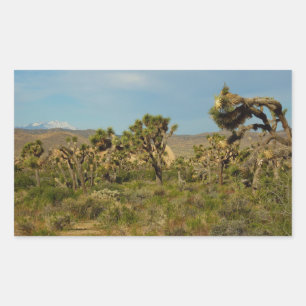 Joshua Tree Nationalpark Wüstenlandschaft Rechteckiger Aufkleber