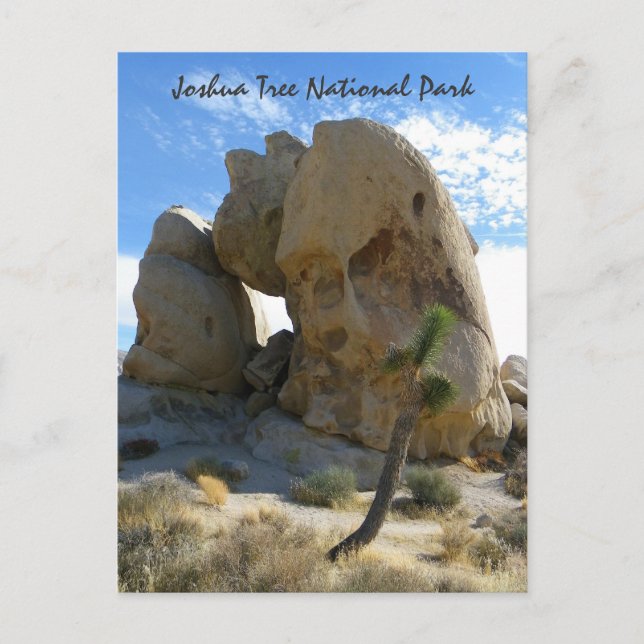 Joshua Tree Park Postcard! Postkarte (Vorderseite)