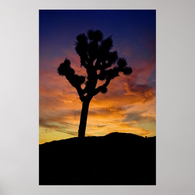 Joshua Tree Poster (Vorne)