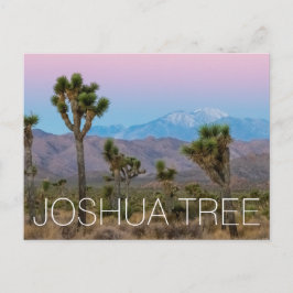 Joshua Tree Postkarte
