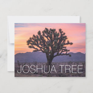 Joshua Tree Postkarte