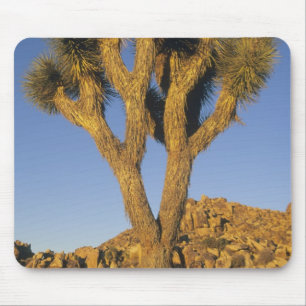 Joshua Tree, Yucca brevifolia) und Granit Mousepad
