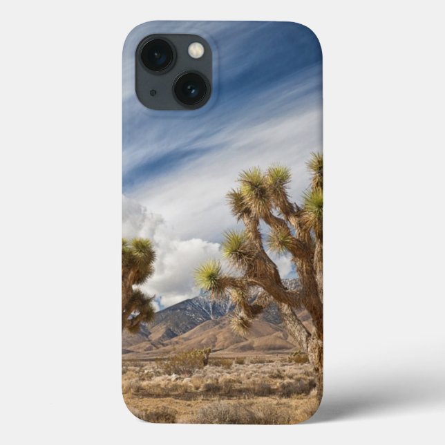 Joshua Trees in der Wüste Case-Mate iPhone Hülle (Rückseite)