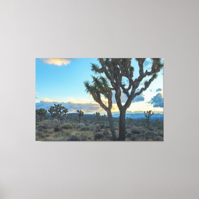 Joshua Trees Landschaft bei Sunset Leinwanddruck (Vorderseite)