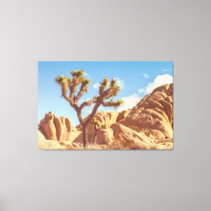 Joshua Trees Landschaft mit Felsformationen Leinwanddruck