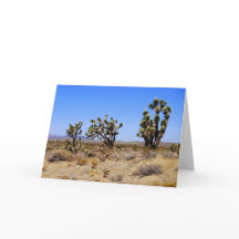 Joshua Trees, Mojave Wüste, Grußkarte