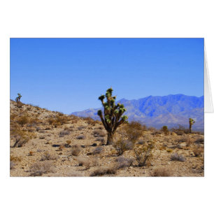 Joshua Trees, Mojave Wüste, Kalifornien