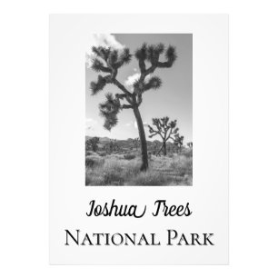 Joshua Trees Nationalpark Fotodruck