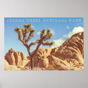 Joshua Trees Nationalpark Landschaftslandschaft Poster
