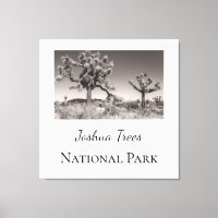 Joshua Trees Nationalpark