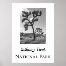 Joshua Trees Nationalpark