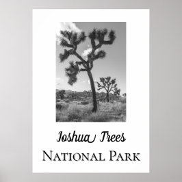 Joshua Trees Nationalpark Poster