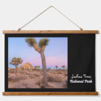 Joshua Trees Nationalpark