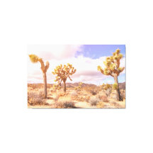 Joshua Trees Wüste Landschaft