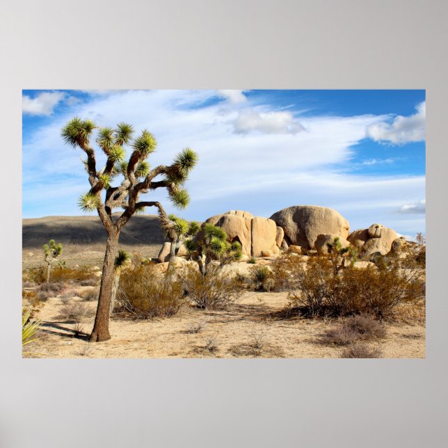 Joshue tree beautiful scenery poster (Vorne)