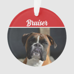 Jote Boxer Chien Fête de Noël Photo