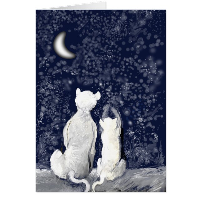 "Jouer avec les étoiles" (Devant)