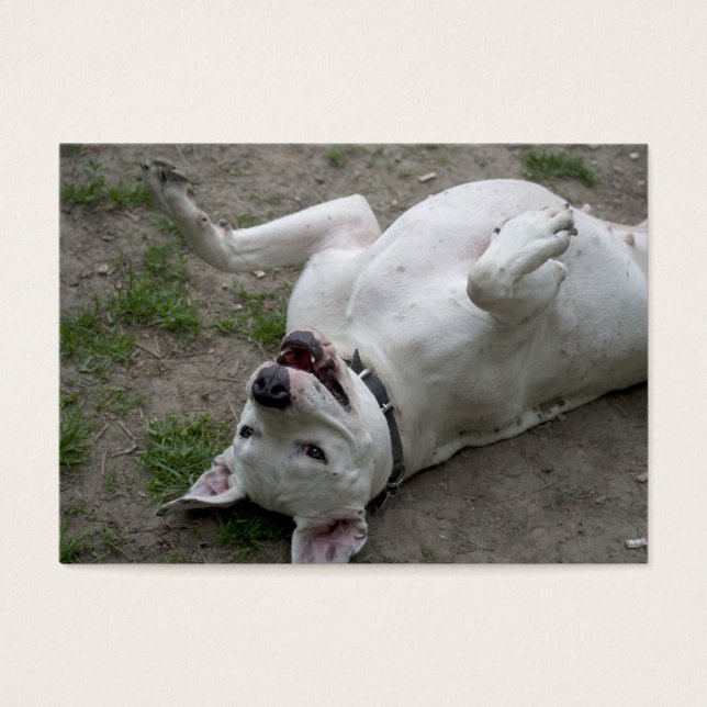 Jouer Dogo Argentino (Devant)