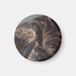 Joueur Dave Small, Magnet Arrondi De 3,2 Cm