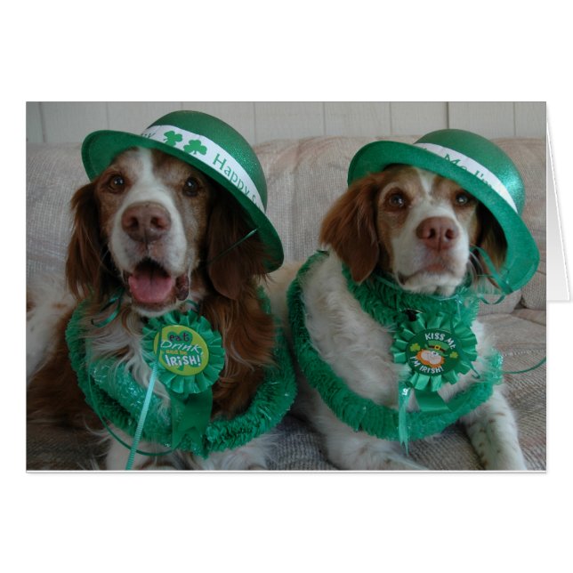 JOUR DE LA ST PATRICK BRITANNIQUES (Devant horizontal)