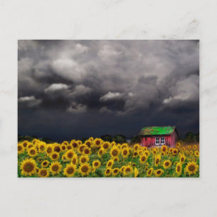 Jour étrange, Carte postale