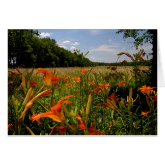 Jour-Lit Le Long D'Un Terrain De Grasses