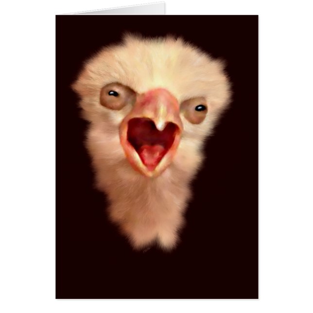 Jour Vieux Faucon Chousse (Devant)