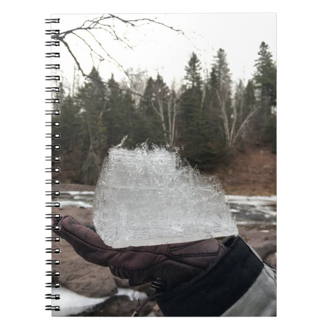 Journal (Devant)