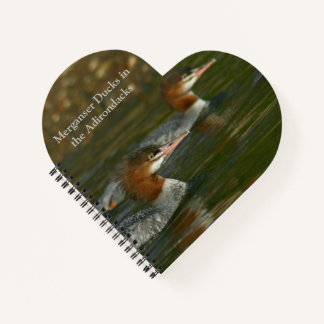 Journal avec Merganser Ducks dans les Adirondacks