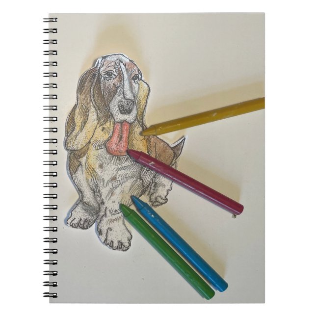 Journal Bassie (Devant)